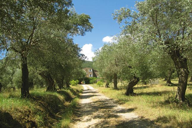 http://cdni.condenast.co.uk/646x430/a_c/25BestVillasInEurope19_CNT_31jan11_b.jpg
